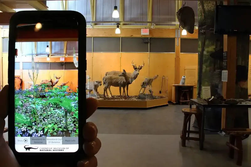 Teaser image: Augmented Reality Brings the Real World into Natural History Dioramas with Data Visualizations and Bioacoustics at the Carnegie Museum of Natural History